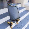 Kép 5/10 - climb-cart-osszecsukhatu-kezikocsi-4