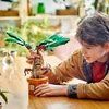 Kép 3/3 - lego-harry-potter-mandragora-2